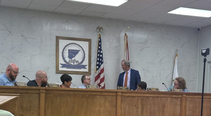 Hanceville council talks parks, new generator, rezoning, more