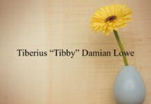 Obituary: Tiberius “Tibby” Damian Lowe