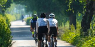 ALEA urges Alabamians to share the road during National Bicycle and Motorcycle Safety MonthÂ