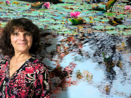 Evelyn Burrow Museum opens ‘Nympheus Luminansis, Water Lilies of Light’ exhibition