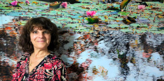 Evelyn Burrow Museum opens ‘Nympheus Luminansis, Water Lilies of Light’ exhibition