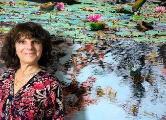 Evelyn Burrow Museum opens ‘Nympheus Luminansis, Water Lilies of Light’ exhibition