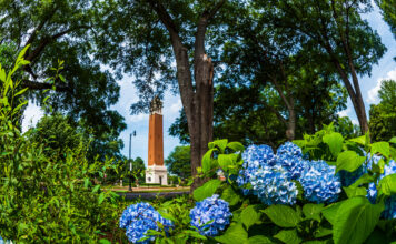 6 local students named to UA Early College Spring 2026 Director’s List