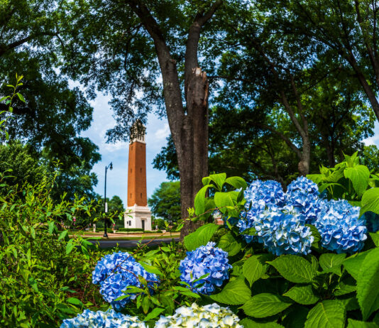 6 local students named to UA Early College Spring 2026 Director’s List