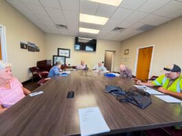 Cullman Tree Commission discusses Festival of Trees, Heritage Park replanting, and community tree issues