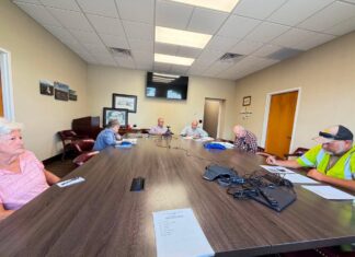 Cullman Tree Commission discusses Festival of Trees, Heritage Park replanting, and community tree issues