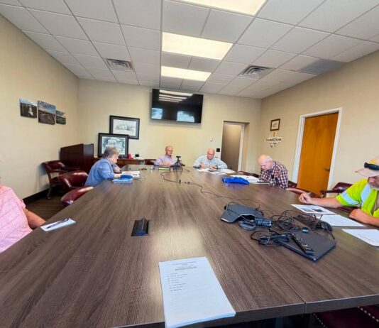 Cullman Tree Commission discusses Festival of Trees, Heritage Park replanting, and community tree issues