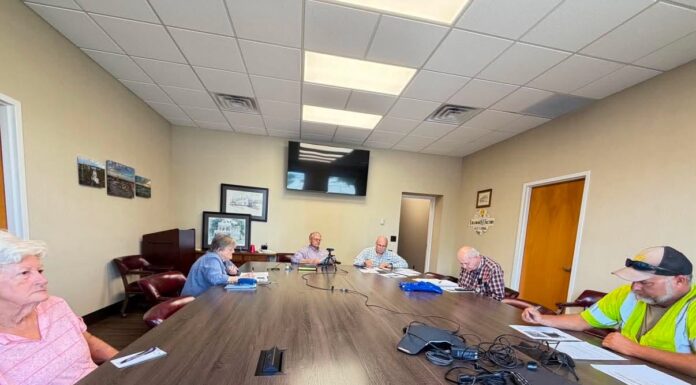 Cullman Tree Commission discusses Festival of Trees, Heritage Park replanting, and community tree issues