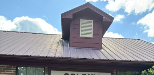 Colony council postpones clean-up event, talks grant application