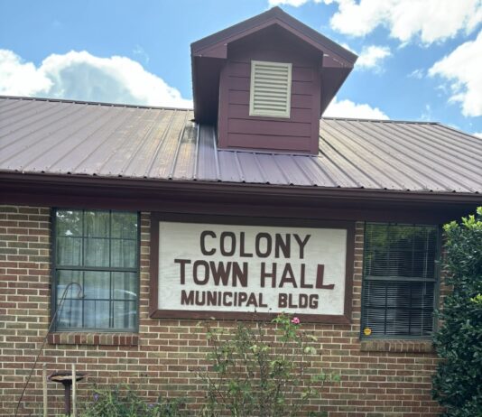 Colony council postpones clean-up event, talks grant application Â