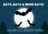 June 18 at the Hanceville library: Bats, Bats & More Bats!