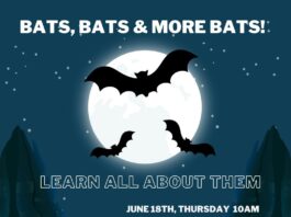 June 18 at the Hanceville library:Â Bats, Bats & More Bats!Â