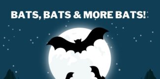 June 18 at the Hanceville library: Bats, Bats & More Bats!