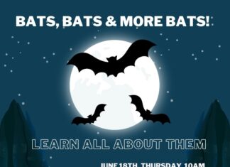 June 18 at the Hanceville library: Bats, Bats & More Bats!