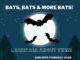June 18 at the Hanceville library: Bats, Bats & More Bats!