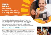 DHR: Summer EBT benefits coming to families with eligible school children