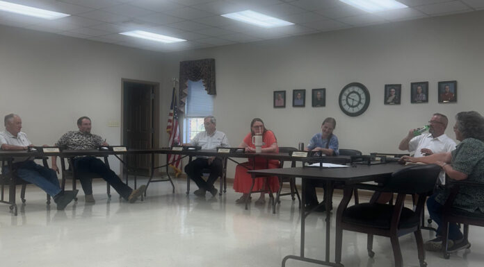 Dodge City Council meeting notes: June 11
