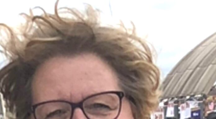 Hanceville library welcomes librarian Beth Ellis