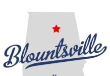 Blountsville police chief no longer employed by town
