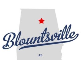 Blountsville police chief no longer employed by town