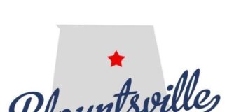 Blountsville police chief no longer employed by town
