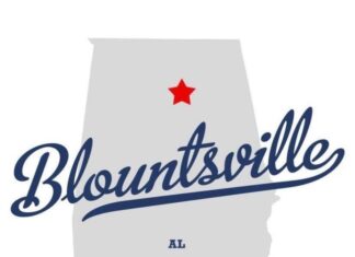 Blountsville police chief no longer employed by town