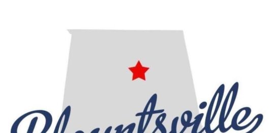 Blountsville police chief no longer employed by town