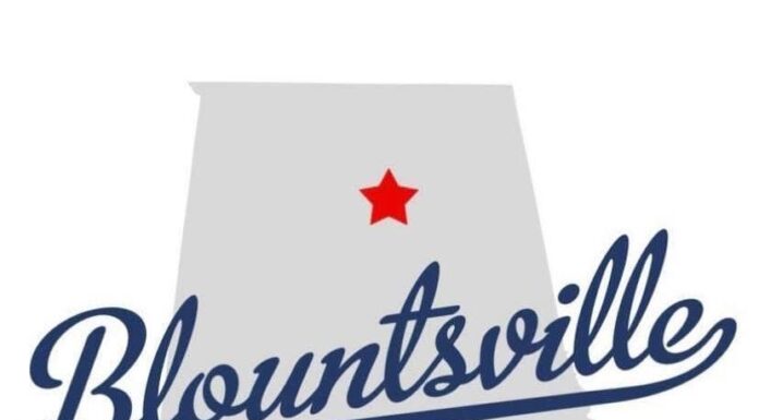 Blountsville police chief no longer employed by town