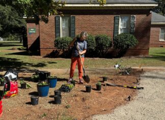 Registration open for Alabama Extension Master Gardener fall course