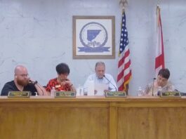 Hanceville council approves park improvement funding, restaurant liquor license