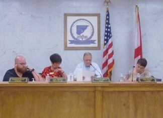 Hanceville council approves park improvement funding, restaurant liquor license