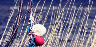 Balloon releases: Environmental impacts and eco-friendly alternatives