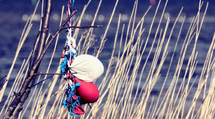 Balloon releases: Environmental impacts and eco-friendly alternatives