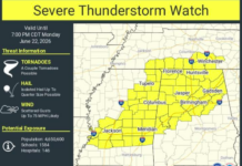 Severe Storm Watch For Northern And Parts Of Central Alabama