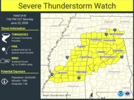 Severe Storm Watch For Northern And Parts Of Central Alabama