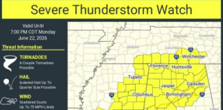Severe Storm Watch For Northern And Parts Of Central Alabama