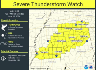 Severe Storm Watch For Northern And Parts Of Central Alabama