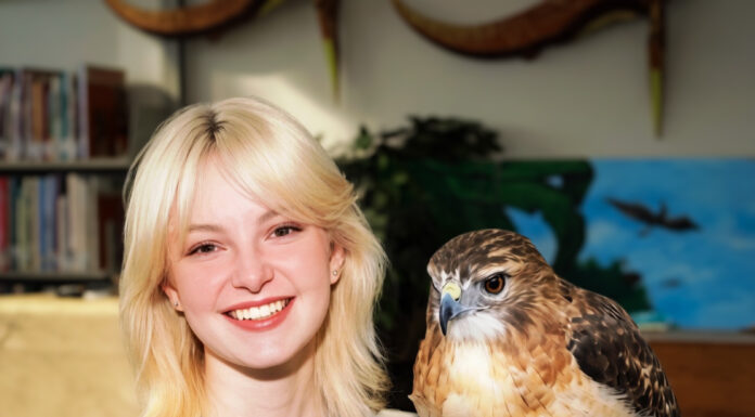 Cullman Library hosts Rise Raptor Project