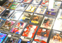 OmniPlex hosts Flip Trade Show