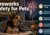 CCAS urges pet owners to prepare before Independence Day celebrations