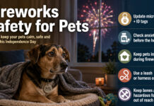 CCAS urges pet owners to prepare before Independence Day celebrations