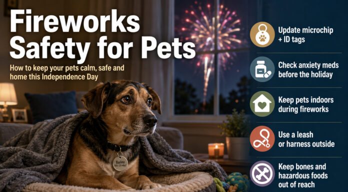 CCAS urges pet owners to prepare before Independence Day celebrations