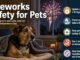 CCAS urges pet owners to prepare before Independence Day celebrations