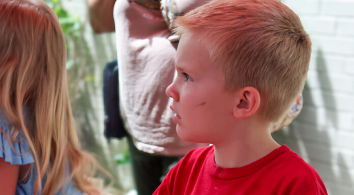 ‘Lasting Impressions: Fossils & Artifacts’ at Hanceville library