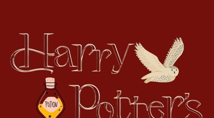CCPL to host Harry Potter birthday celebration July 31