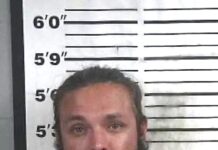 Recovered stolen vehicle leads to arrest in Cullman