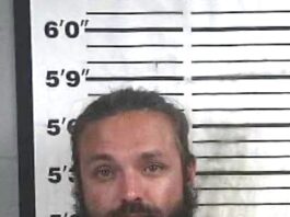 Recovered stolen vehicle leads to arrest in Cullman