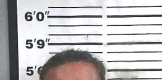 Recovered stolen vehicle leads to arrest in Cullman