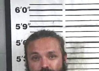 Recovered stolen vehicle leads to arrest in Cullman