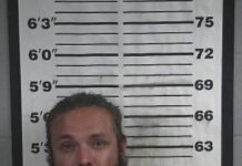 Recovered stolen vehicle leads to arrest in Cullman